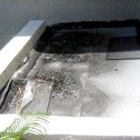 jpg16-21082_200x200