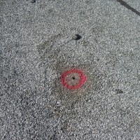 Eastman-Flat-Tar-Blisters-225412_200x200