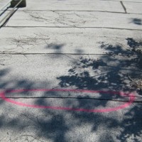 IMG_0010-162063_200x200