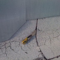 IMG_01071-136980_200x200