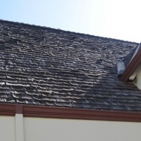 IMG_3213-93959_200x200