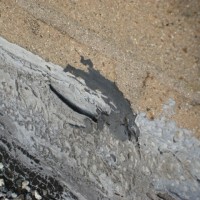 IMG_40141-133631_200x200