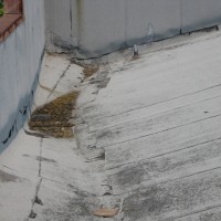 IMG_6203-101197_200x200