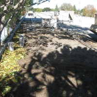 IMG_766511-152411_200x200