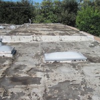 IMG_8727-586797_200x200