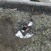 jpg41-192996_200x200