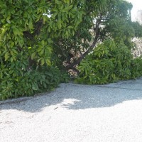 jpg45-155182_200x200