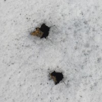 jpg84-136886_200x200