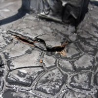 tar_gravel_alligatoring1-22083_200x200