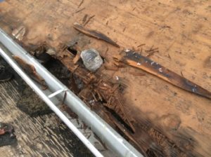 Dry rot and broken sheathing