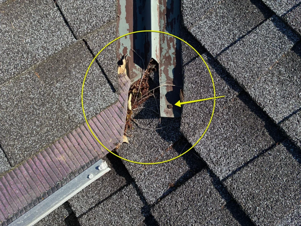 Mesh leaf gutter screens installed along the edge of an asphalt shingle roof in San Jose, CA.