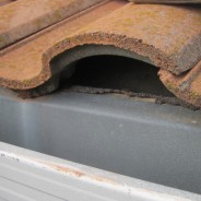 No Bird Stop Installed