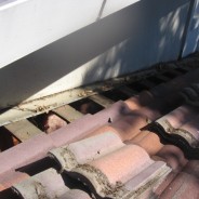 Tiles Installed on 1×6