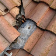 Bottom Of Valley Misoriented